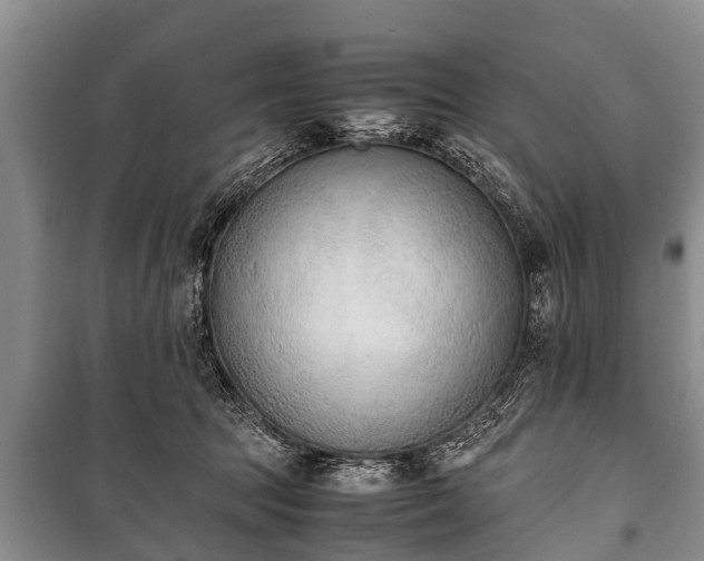 X0000100770369200806261549