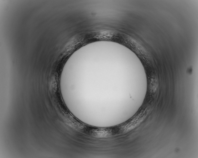 X0000100770370200806261549