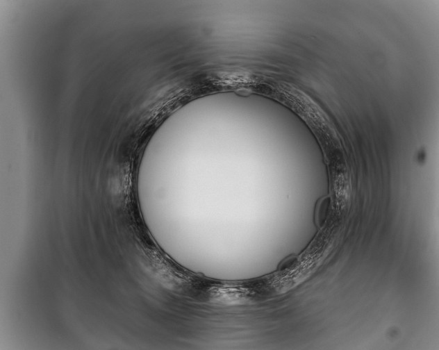 X0000100770372200806261549
