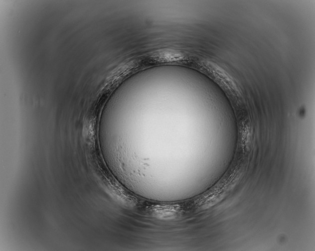 X0000100770373200806261549