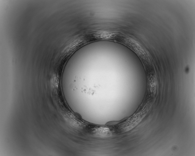 X0000100770374200806261549