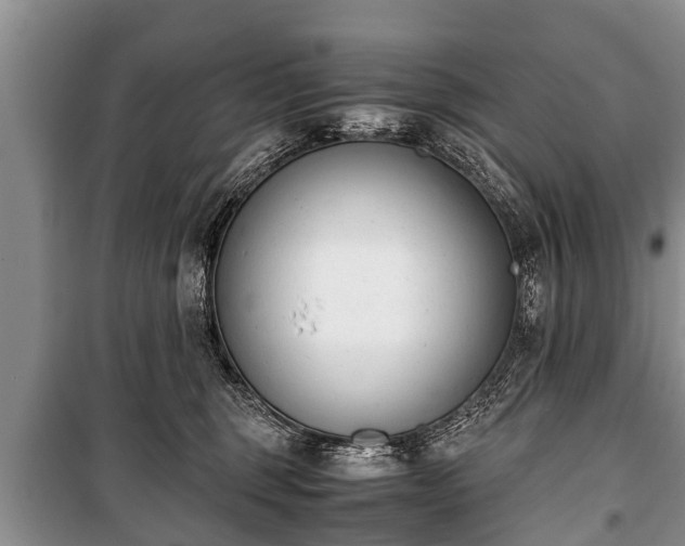 X0000100770375200806261549