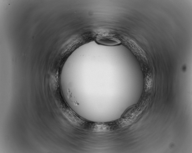 X0000100770376200806261549