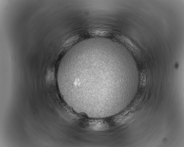 X0000100770377200806261549
