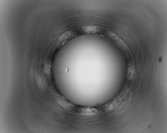 X0000100770379200806261549