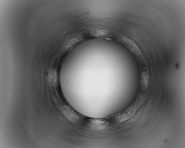 X0000100770380200806261549