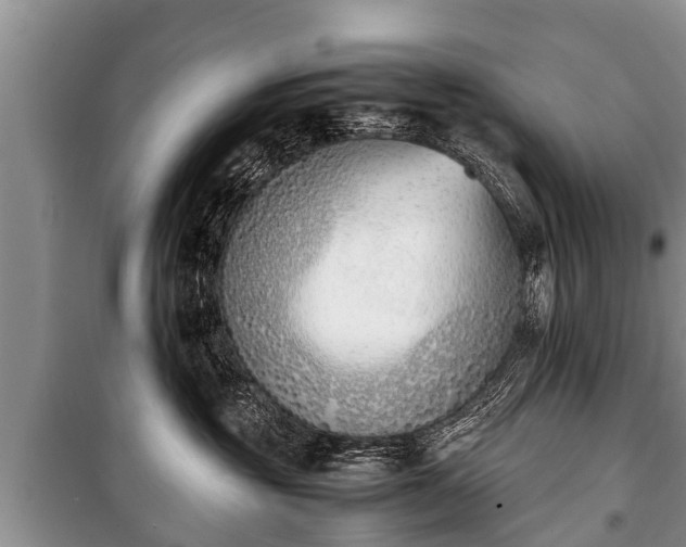 X0000100770381200806261549