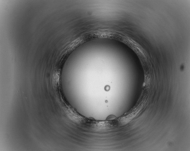 X0000100770382200806261549