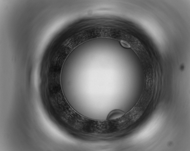 X0000100770383200806261549