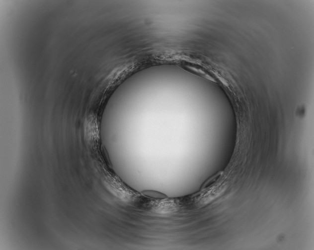 X0000100770384200806261549