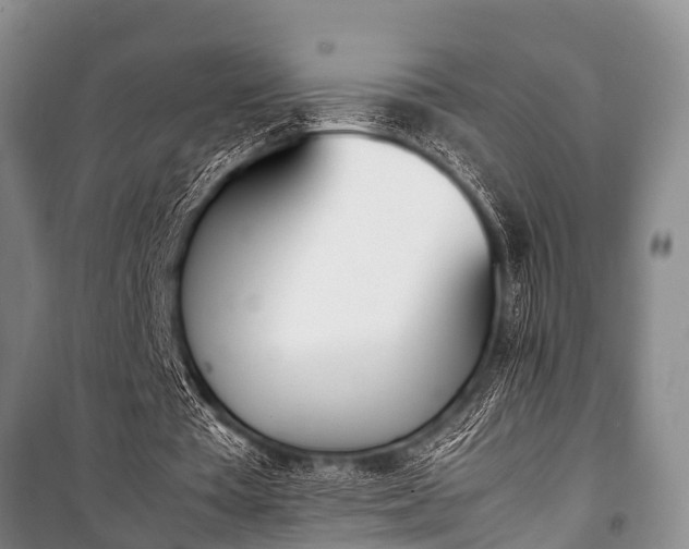 X0000100770385200806261549