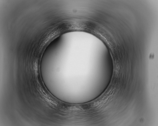 X0000100770386200806261549
