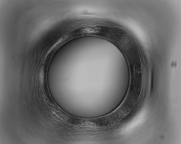 X0000100770387200806261549