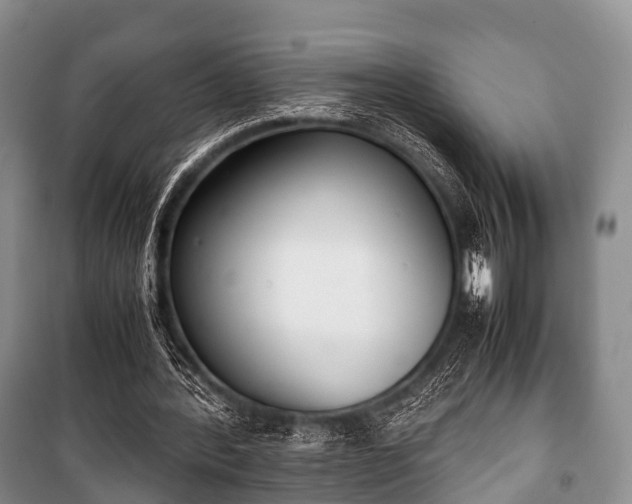 X0000100770388200806261549