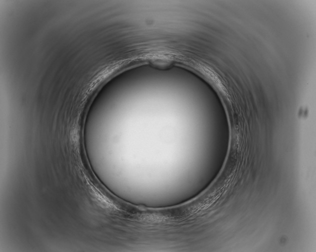 X0000100770389200806261549