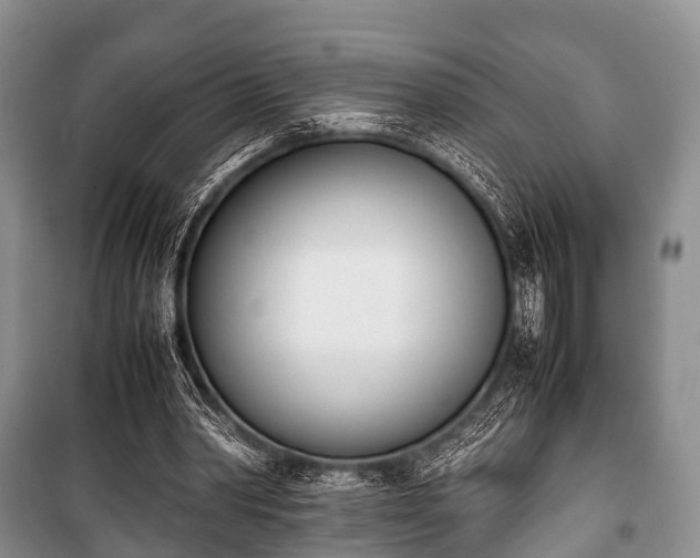 X0000100770390200806261548