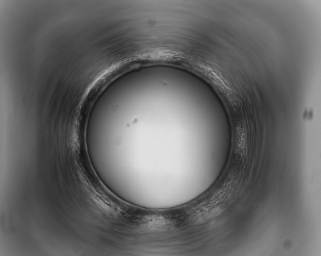 X0000100770392200806261548