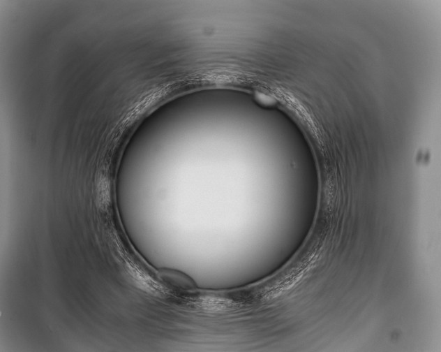 X0000100770393200806261548