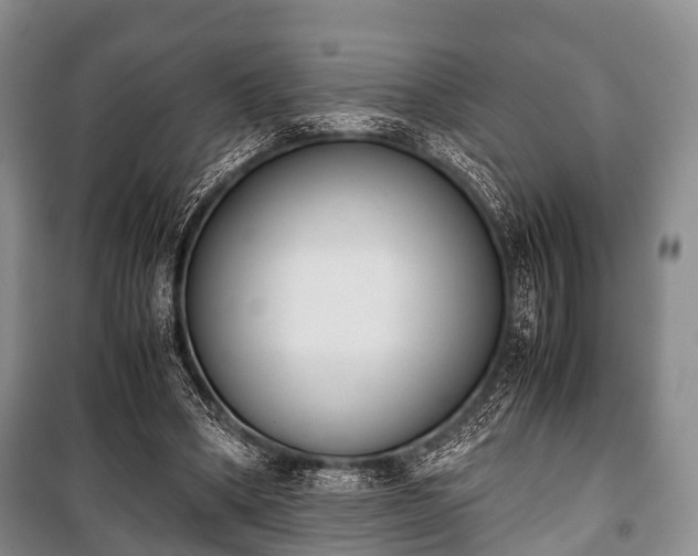 X0000100770394200806261548