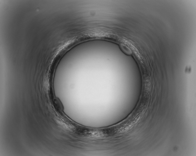 X0000100770395200806261548