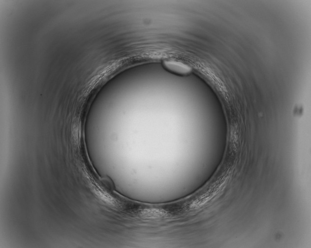 X0000100770397200806261548