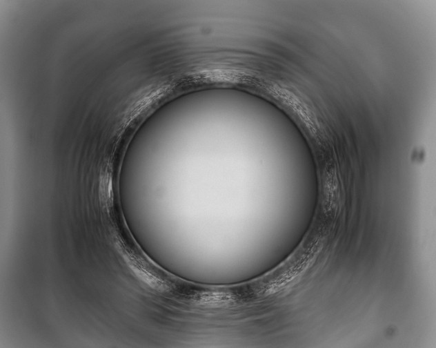 X0000100770398200806261548
