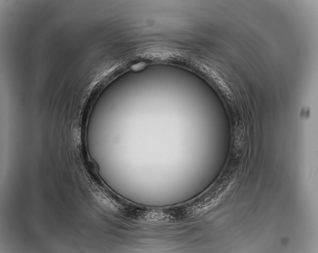 X0000100770399200806261548