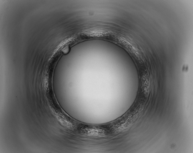 X0000100770400200806261548
