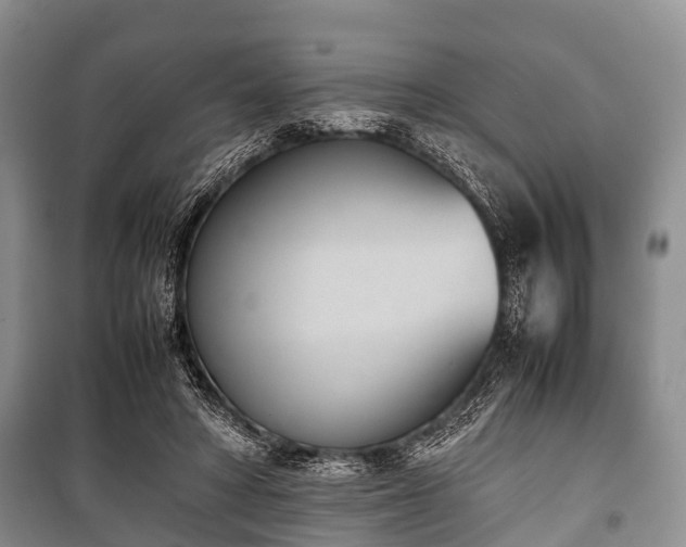 X0000100770402200806261548