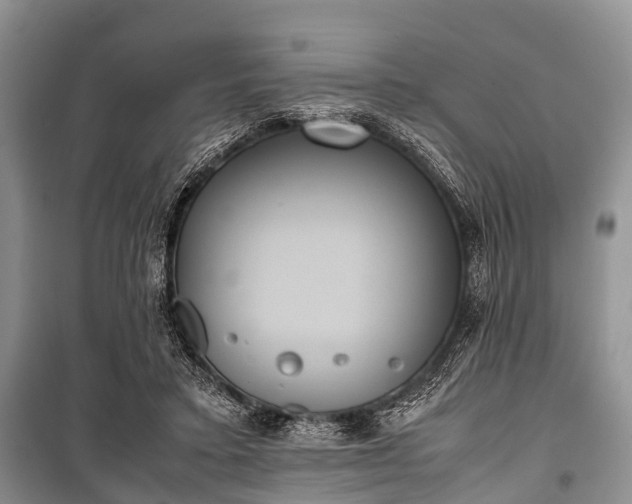 X0000100770403200806261548