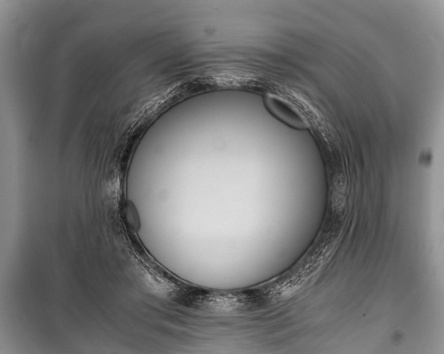 X0000100770405200806261548
