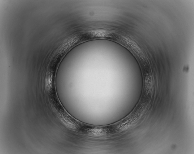 X0000100770406200806261548