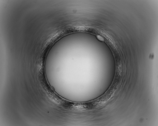 X0000100770407200806261548