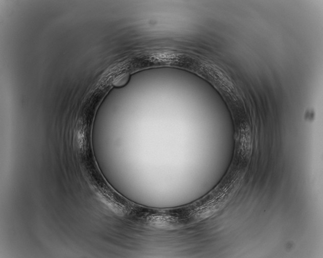 X0000100770408200806261548