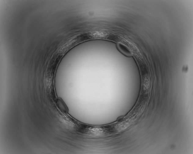 X0000100770409200806261548