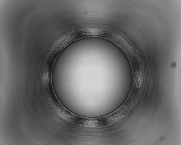 X0000100770410200806261548