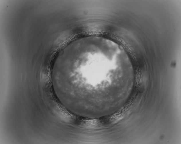 X0000100770411200806261548