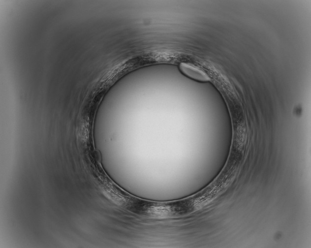 X0000100770413200806261548