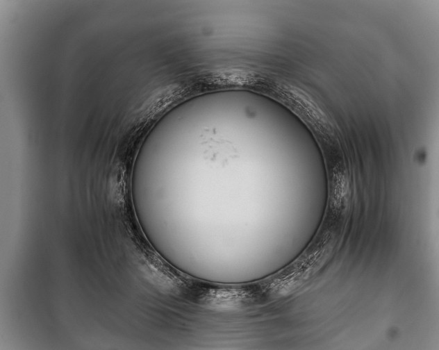 X0000100770414200806261548