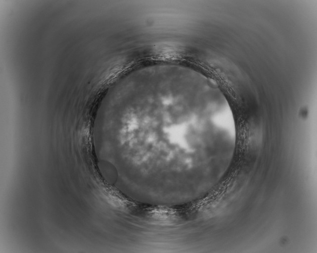 X0000100770415200806261548