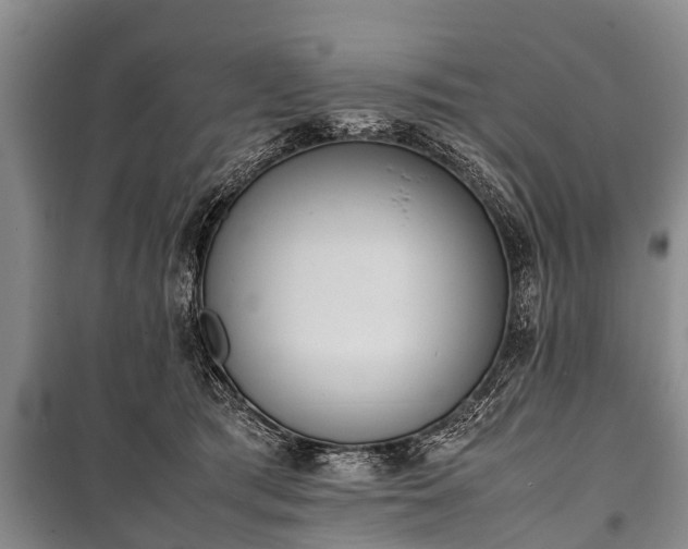X0000100770417200806261548