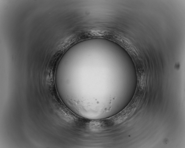 X0000100770418200806261548