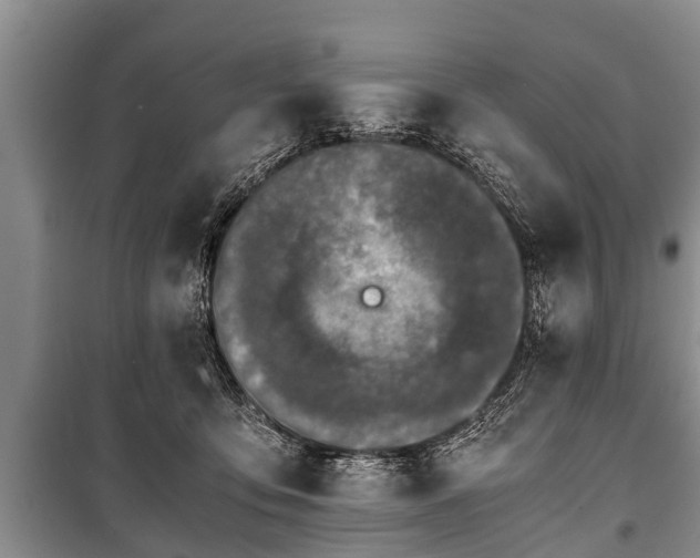 X0000100770419200806261548
