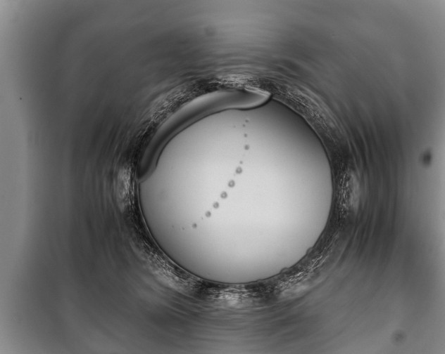 X0000100770420200806261548