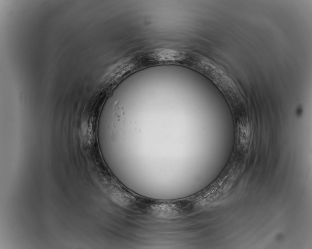 X0000100770422200806261548