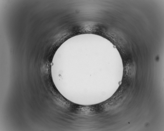 X0000100770423200806261548