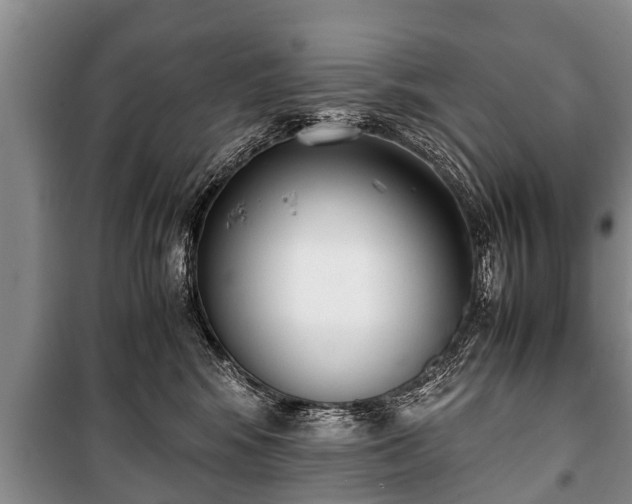 X0000100770424200806261548