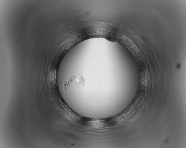 X0000100770425200806261548