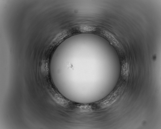 X0000100770426200806261548