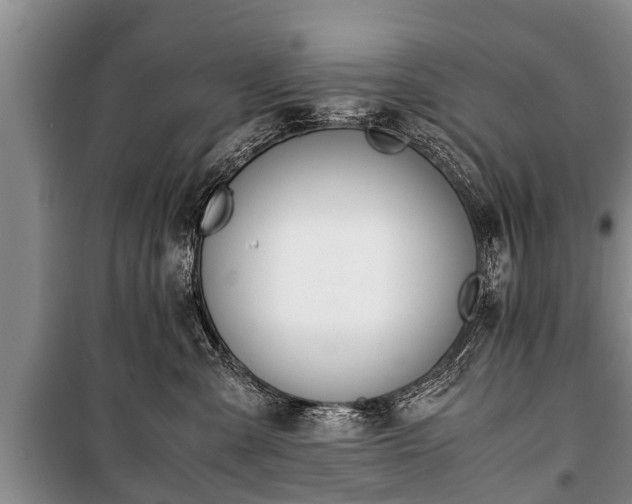 X0000100770427200806261548